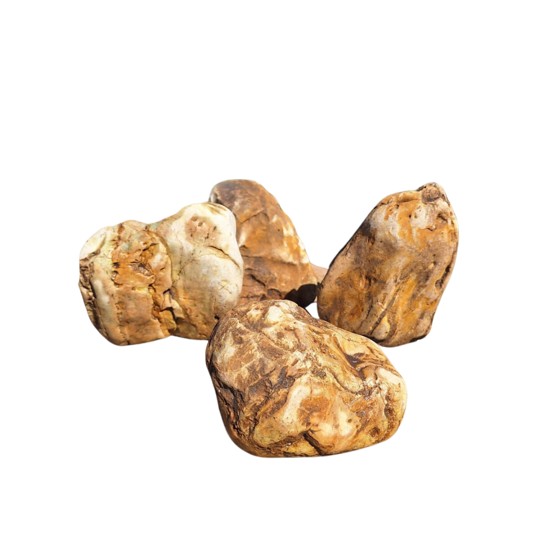 Roche archaïque