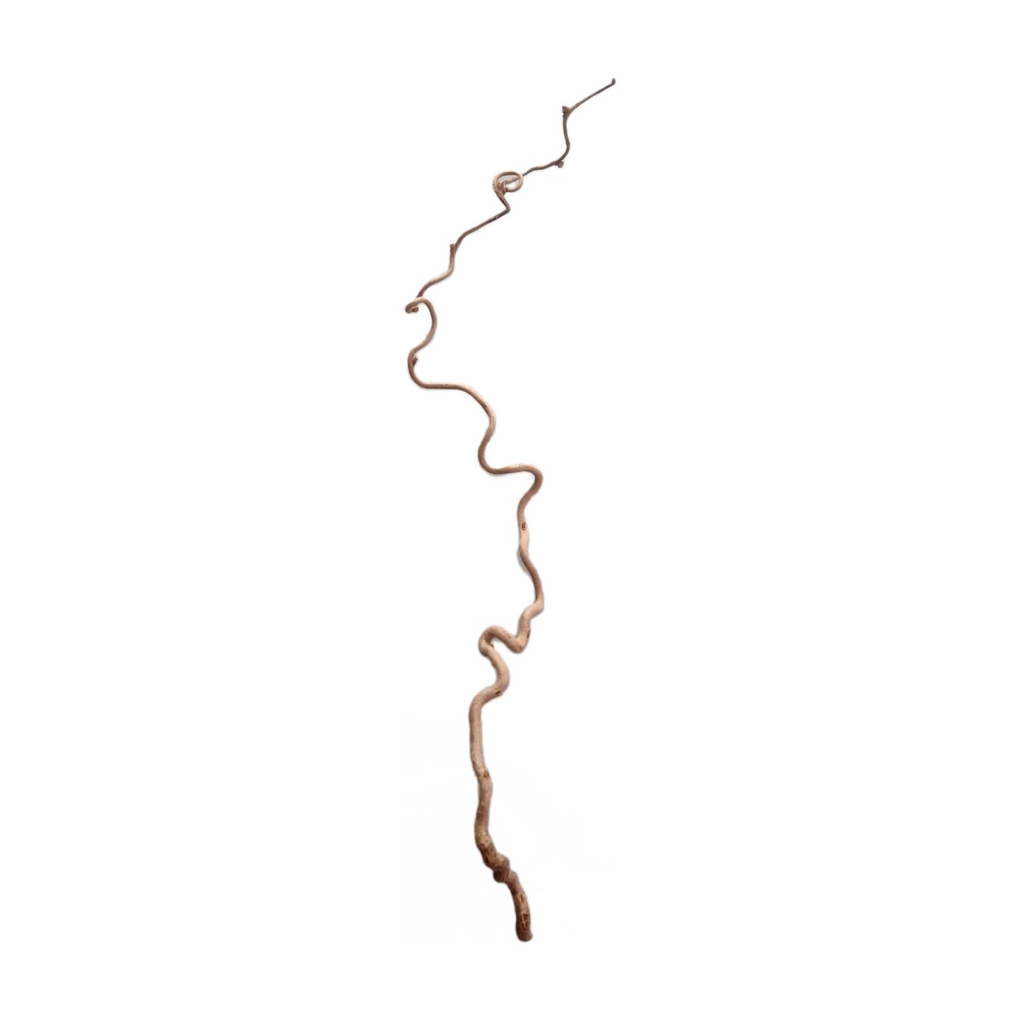 Branche bouclée 70-80 cm, lot de 3 pièces