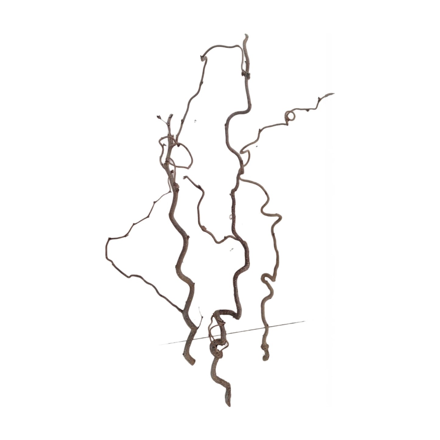 Branche bouclée 70-80 cm, lot de 3 pièces