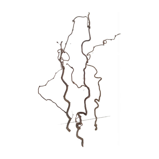 Branche bouclée 70-80 cm, lot de 3 pièces