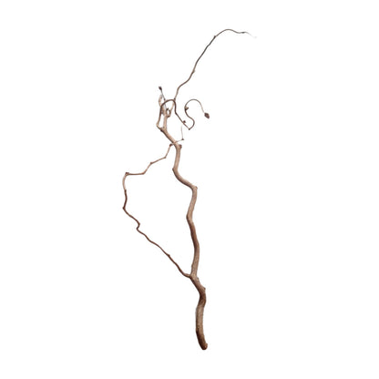 Branche bouclée 70-80 cm, lot de 3 pièces