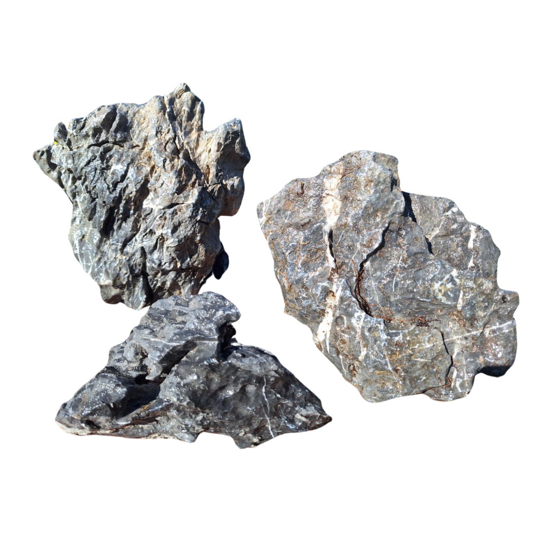 Rocher de Seiryu Noir