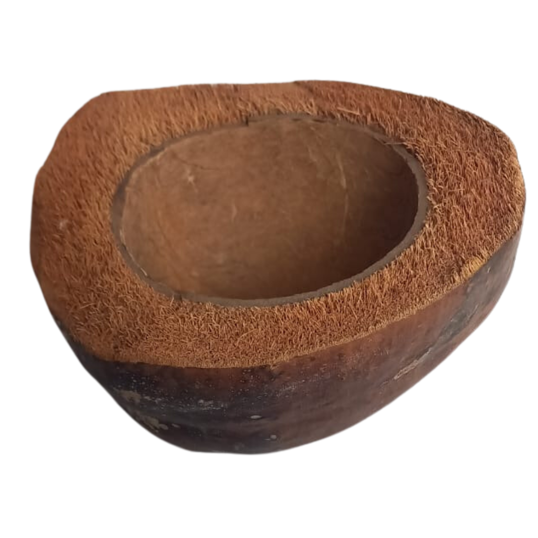 bol en noix de coco naturelle