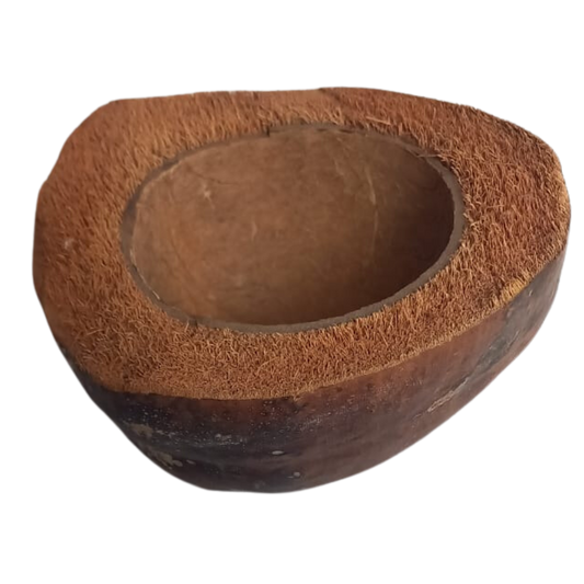 bol en noix de coco naturelle