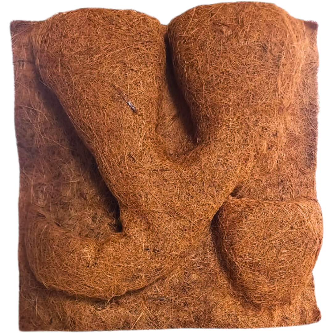 Panneau de fond en fibre de coco avec support pour plantes