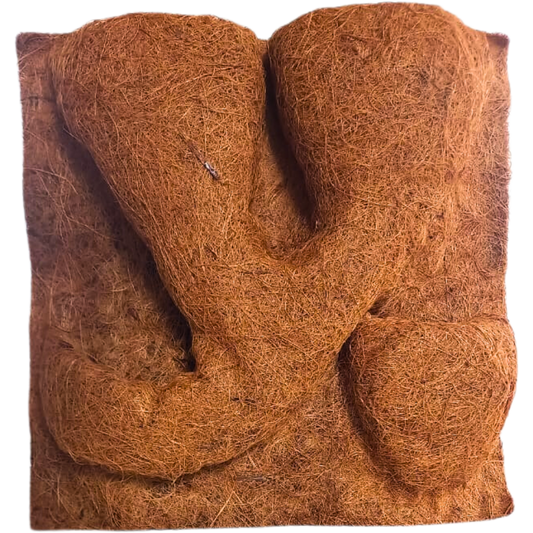 Panneau de fond en fibre de coco avec support pour plantes