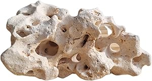 Pierre creuse pour cichlidés