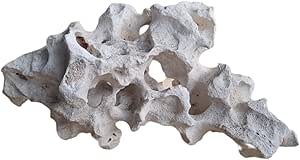 Pierre creuse pour cichlidés