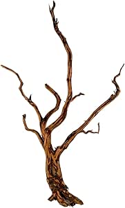 Legno Roi Araignée Rouge