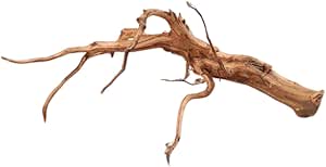 Legno Roi Araignée Rouge